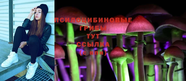 твердый Горнозаводск