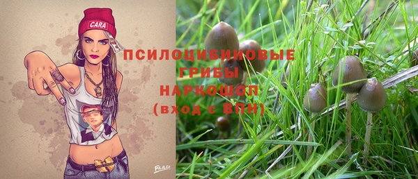 винт Гусев