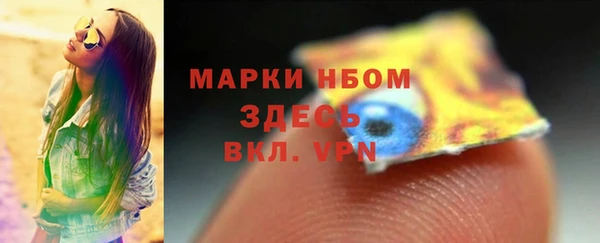 твердый Горнозаводск