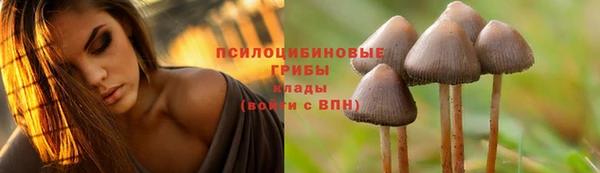 мдма Гусиноозёрск