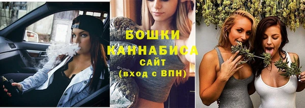 мяу мяу кристалл Гусь-Хрустальный