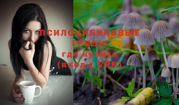мдма Гусиноозёрск
